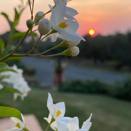 Le Macine Сasa de vacaciones *