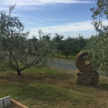 Le Macine Cecina (Livorno)