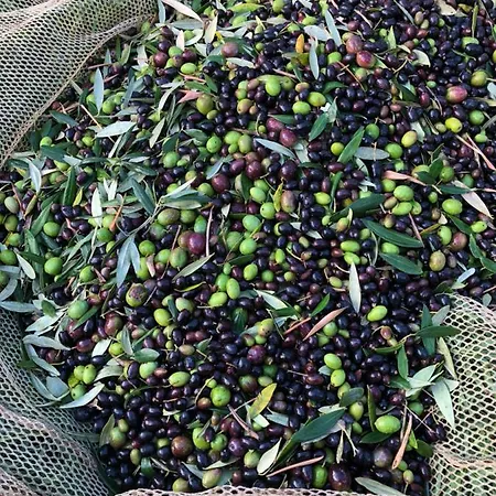 Le Macine Сasa de vacaciones Cecina (Livorno)